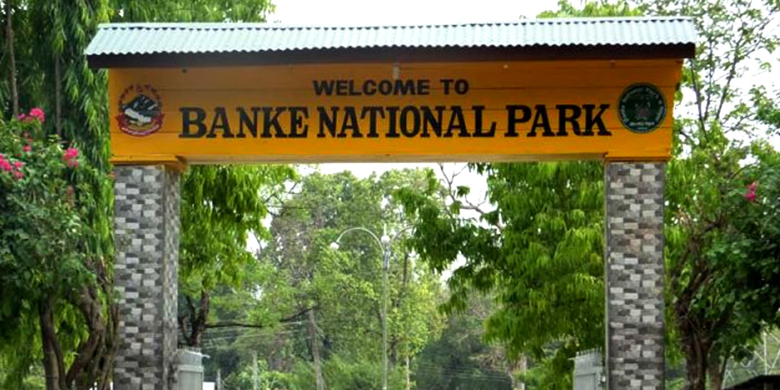 Banke National Park Safari