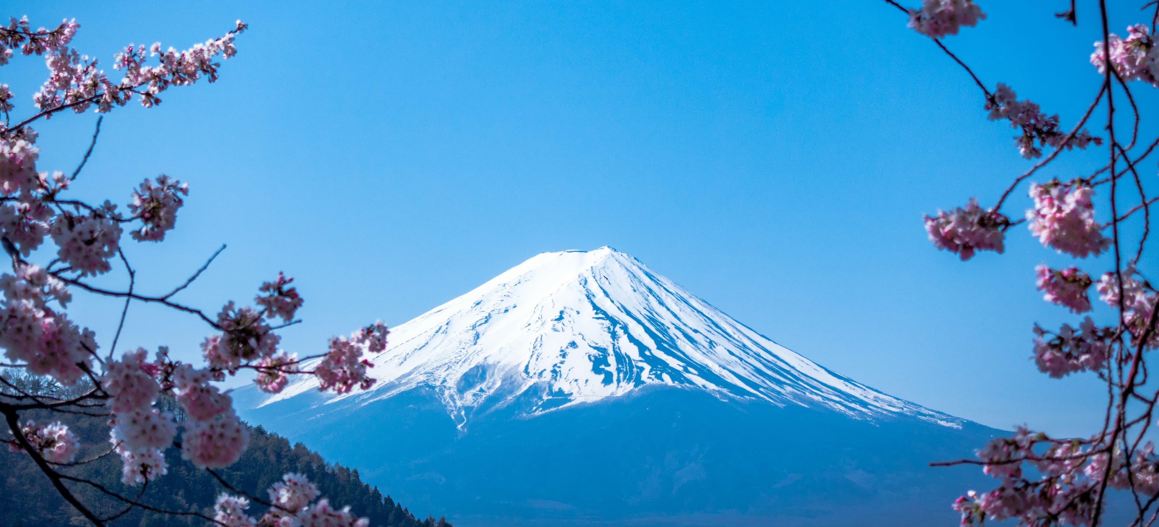 Japan Tour Packages