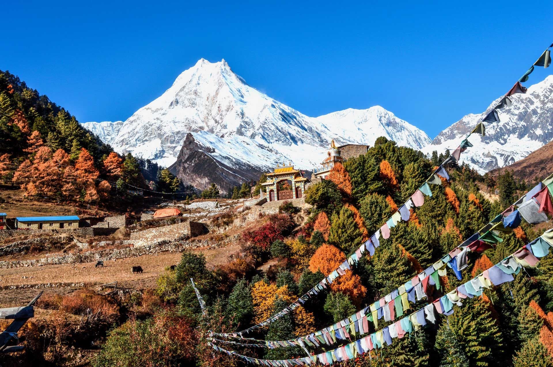 Manaslu Circuit Trek