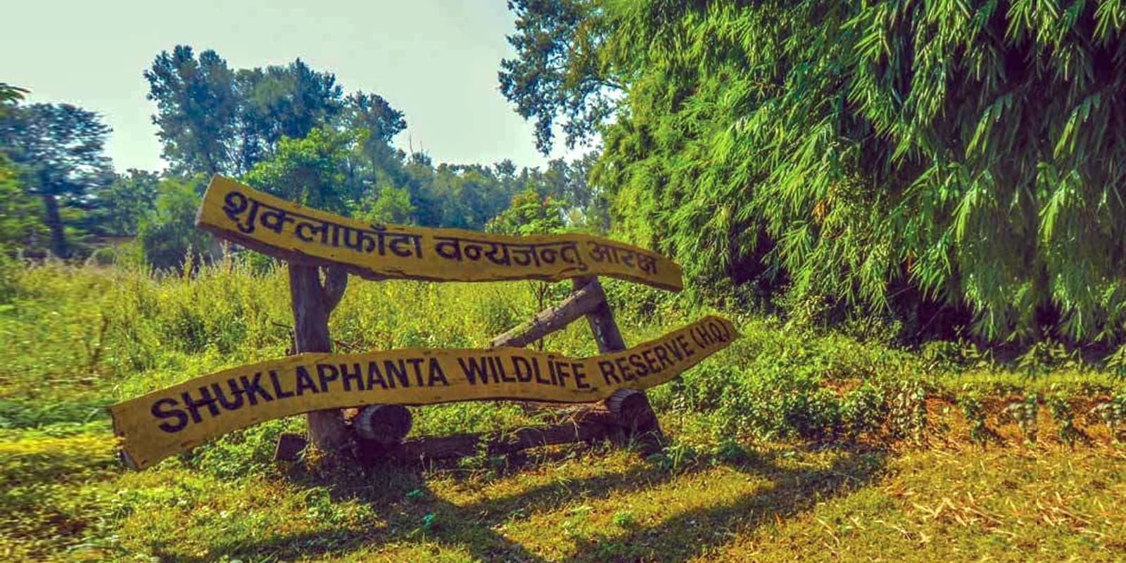 Shuklaphanta Wildlife Tour